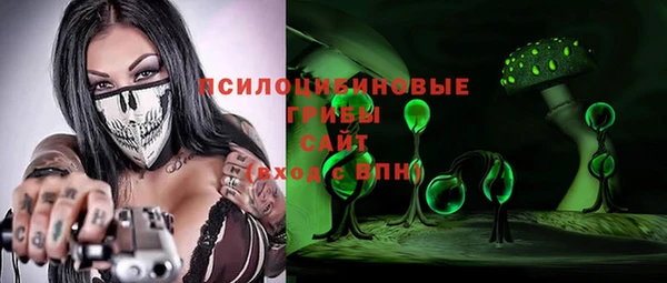 тгк Алзамай