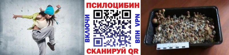 Псилоцибиновые грибы мухоморы  Карабулак 