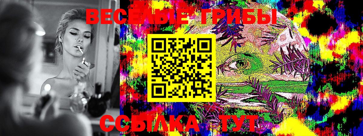 Карабулак  Галлюциногенные грибы GOLDEN TEACHER  Галлюциногенные грибы Psilocybine cubensis  Вход с VPN 